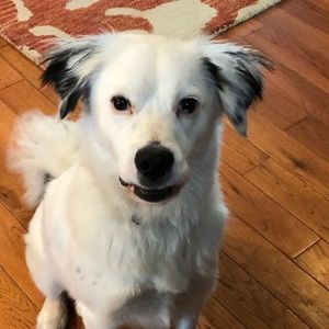 Meet your Posher, Lori